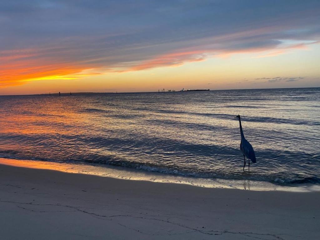 Budget Friendly Condo Within Walking Distance To The Beach! Gulf Shores Ngoại thất bức ảnh